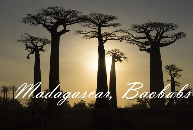 Vol pas cher Madagascar